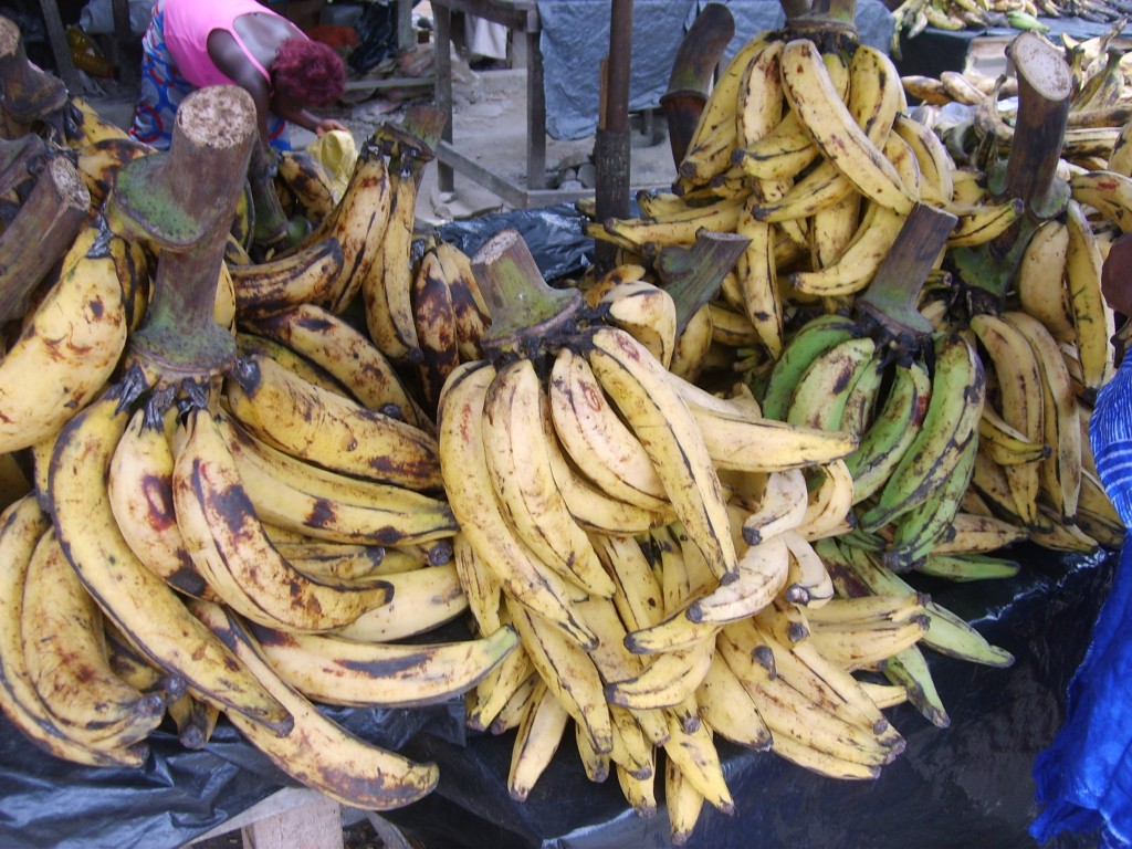 Banane Plantain Tropical Foodies